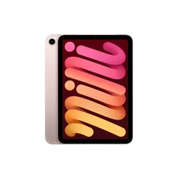 iPad Mini