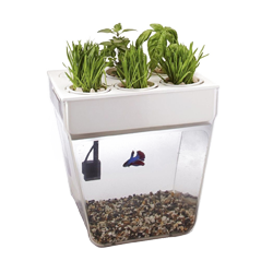 Smart Garden ( Išmanioji sodininkystė )