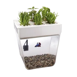 Smart Garden ( Išmanioji sodininkystė )
