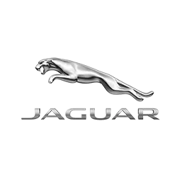 Jaguar kilimėliai