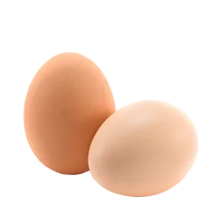 Kiaušiniai
