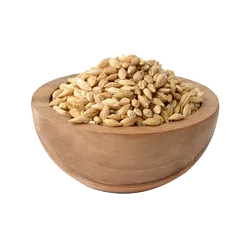 Maistas graužikams