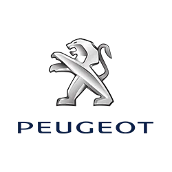 Peugeot dažų korektoriai