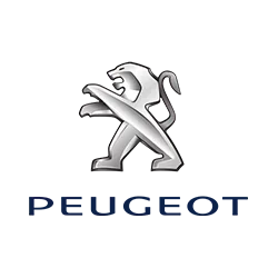 Peugeot sėdynių užvalkalai