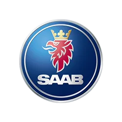 Saab kilimėliai