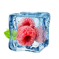 Šaldytas maistas
