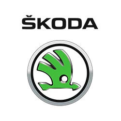 Škoda kilimėliai