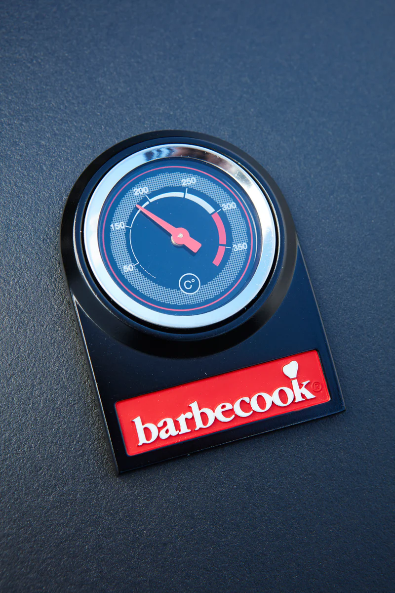 Dujinė lauko kepsninė Barbecook Spring 2002 | BC-GAS-2009 aprašymas - Prekės nuotrauka