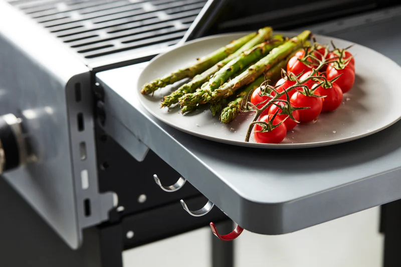 Dujinė lauko kepsninė Barbecook Spring 2002 | BC-GAS-2009 aprašymas - Prekės nuotrauka