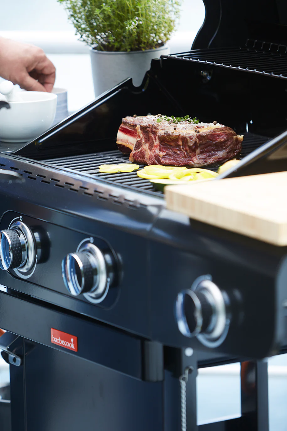 Dujinė lauko kepsninė Barbecook Siesta 210 Graphite | BC-GAS-2071 aprašymas - Prekės nuotrauka