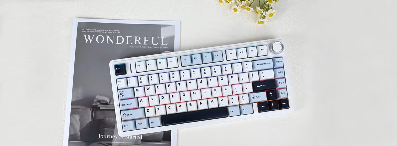 Žaidimų klaviatūra Aula F75, Leobog Reaper Switches, šviesiai mėlyna aprašymas - Prekės nuotrauka