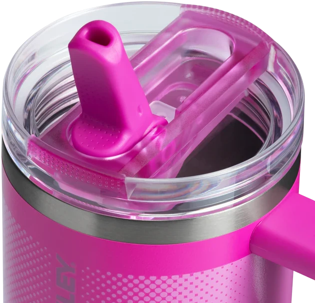 Gertuvė Stanley Quencher ProTour Flip Straw Tumbler, 0.6 L, violetinė aprašymas - Prekės nuotrauka