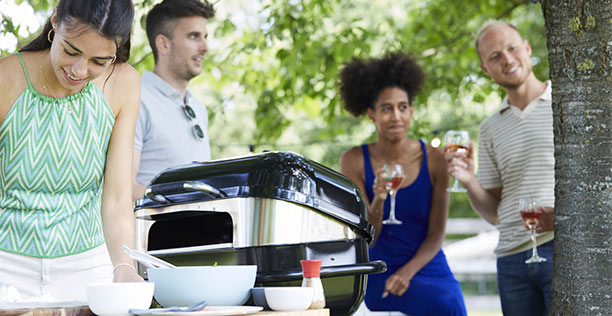 Barbecook picos krosnelė Magnus kepsninei aprašymas - Prekės nuotrauka