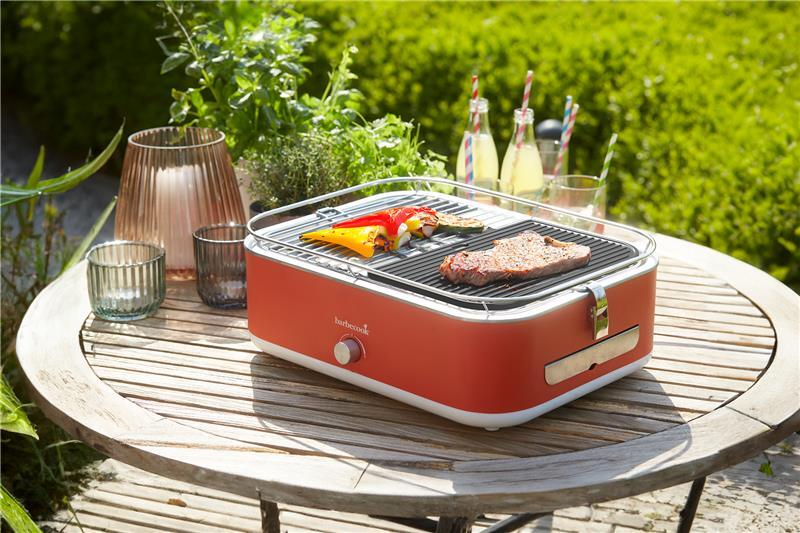 Elektrinis grilis Barbecook E-Carlo, 2500 W, Pilkas aprašymas - Prekės nuotrauka