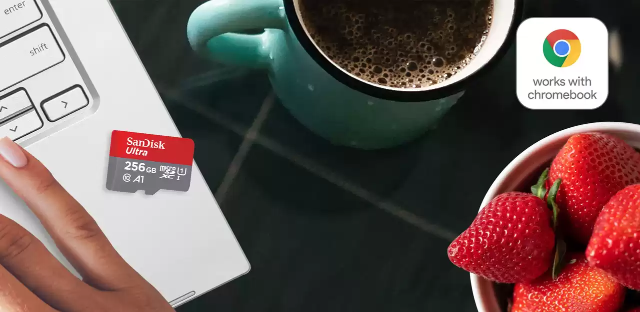 Atminties kortelė SanDisk Ultra Micro SDXC UHS-I Class 10, 128 GB, be adapterio aprašymas - Prekės nuotrauka