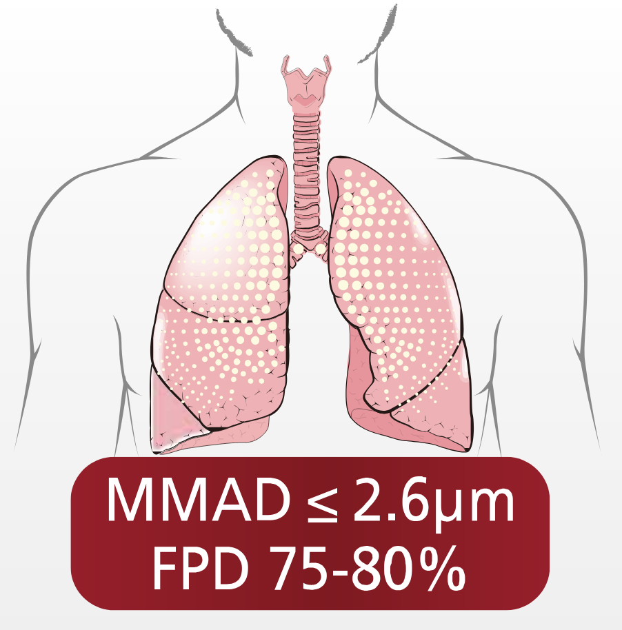 Inhaliatorius Rossmax Handheld Piston Nebulizer NH60 aprašymas - Prekės nuotrauka