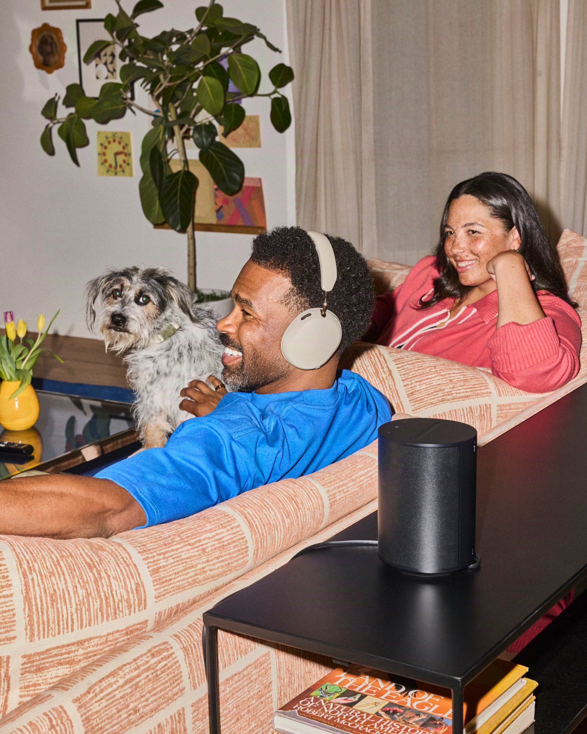 Ausinės Sonos Ace Ultra, agavų spalvos aprašymas - Prekės nuotrauka