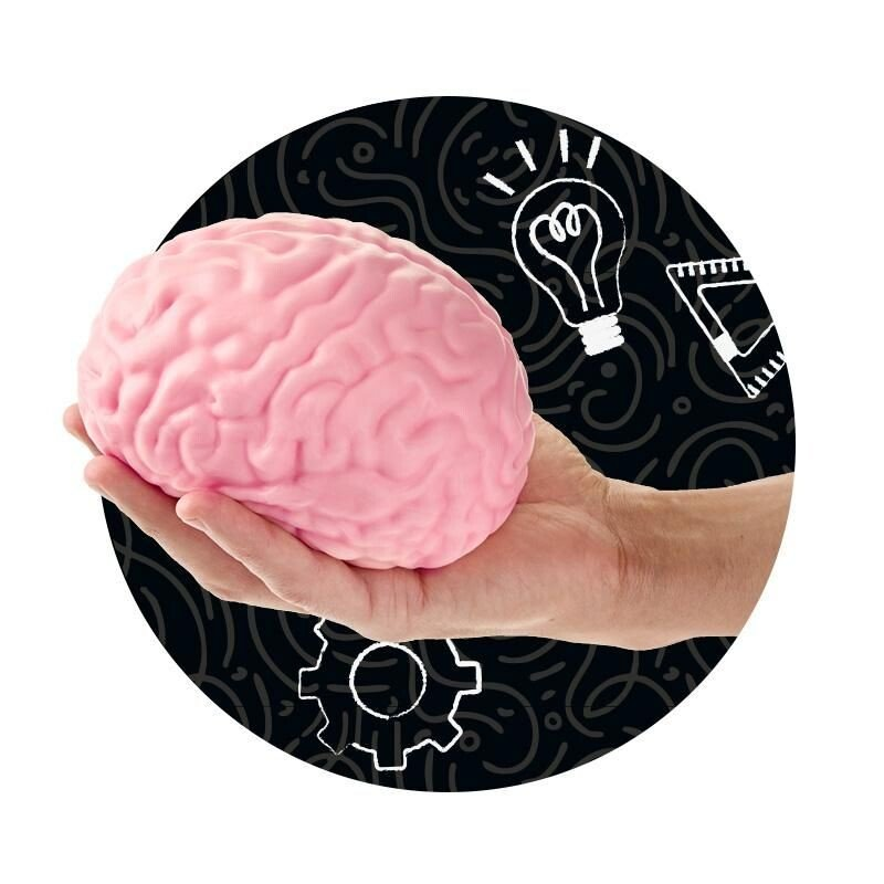 Minkomos antistresinės žaislinės smegenys TRENDHAUS XXL Squishy Super Brain aprašymas - Prekės nuotrauka