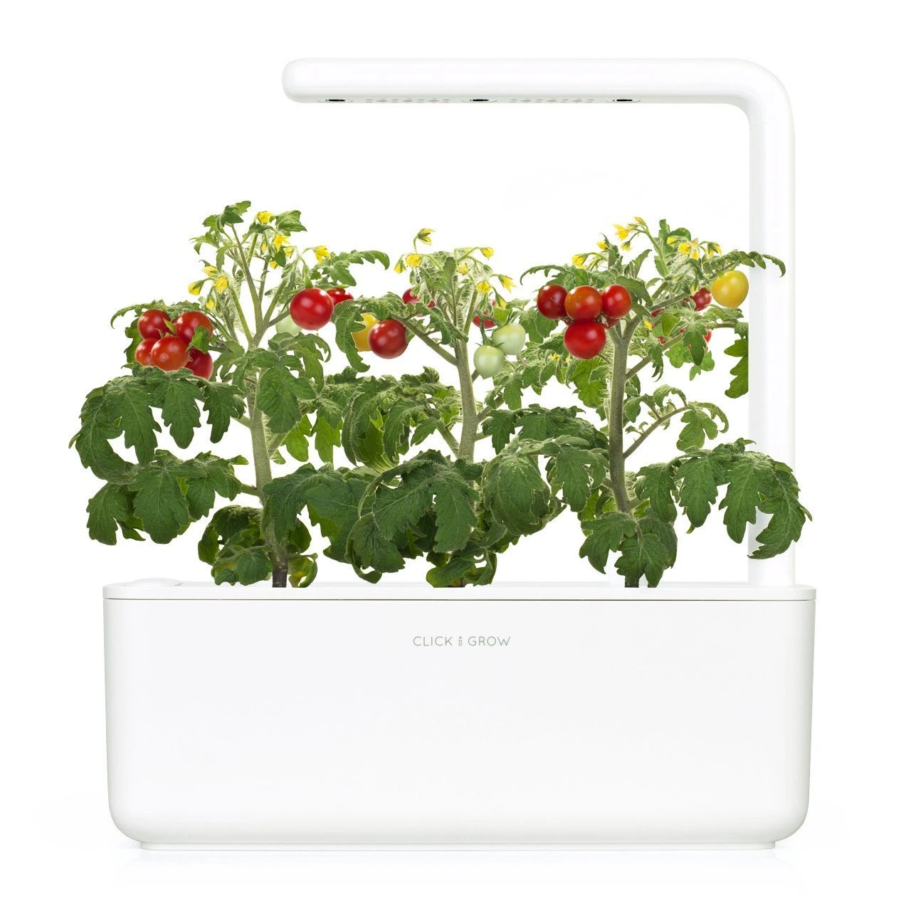 Išmanus namų sodas Click & Grow Smart Indoor Garden 3, baltas aprašymas - Prekės nuotrauka