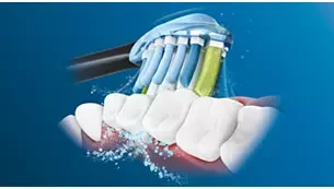 Philips Sonicare C3 Premium Plaque Defence Standartinės Sonic dantų šepetėlio galvutės HX9044/33 aprašymas - Prekės nuotrauka