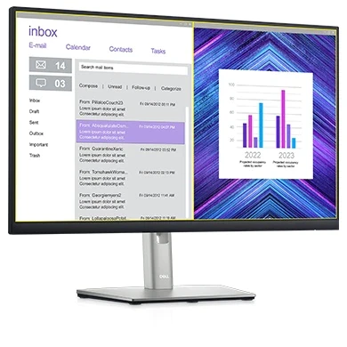 Monitorius Dell | P2422H | 23.8 