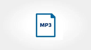 Philips VoiceTracer DVT7110 Diktofonas aprašymas - Prekės nuotrauka