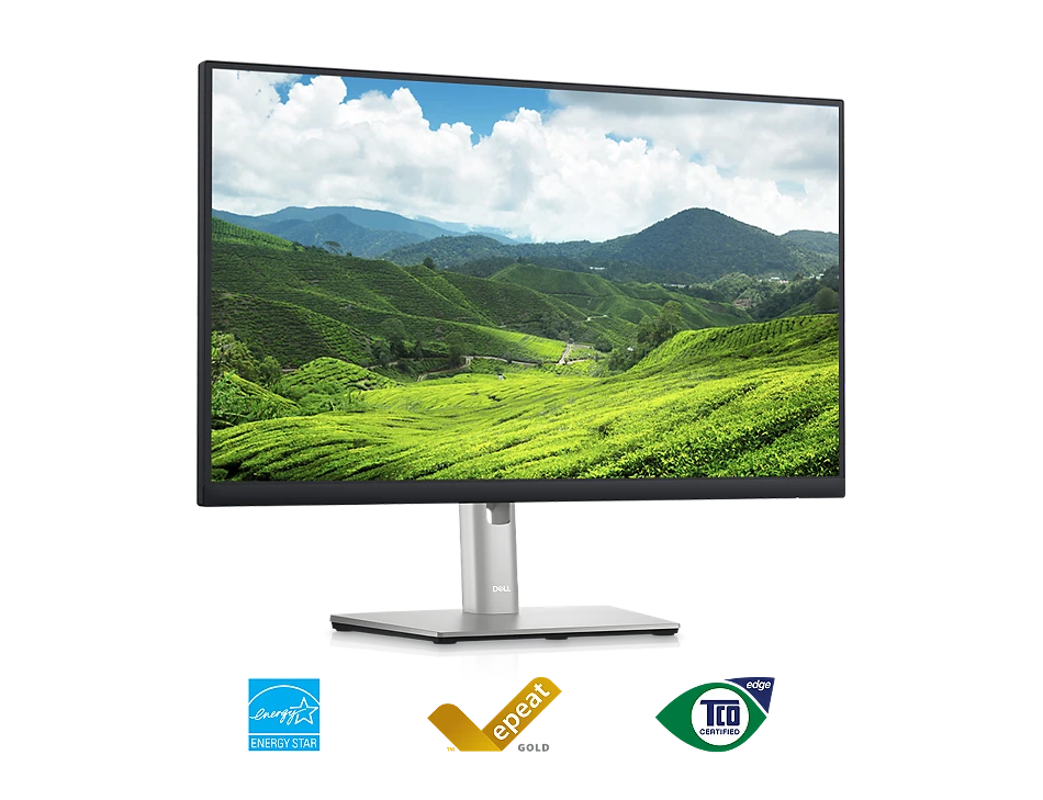 Monitorius Dell LCD P2423D/ 23.8