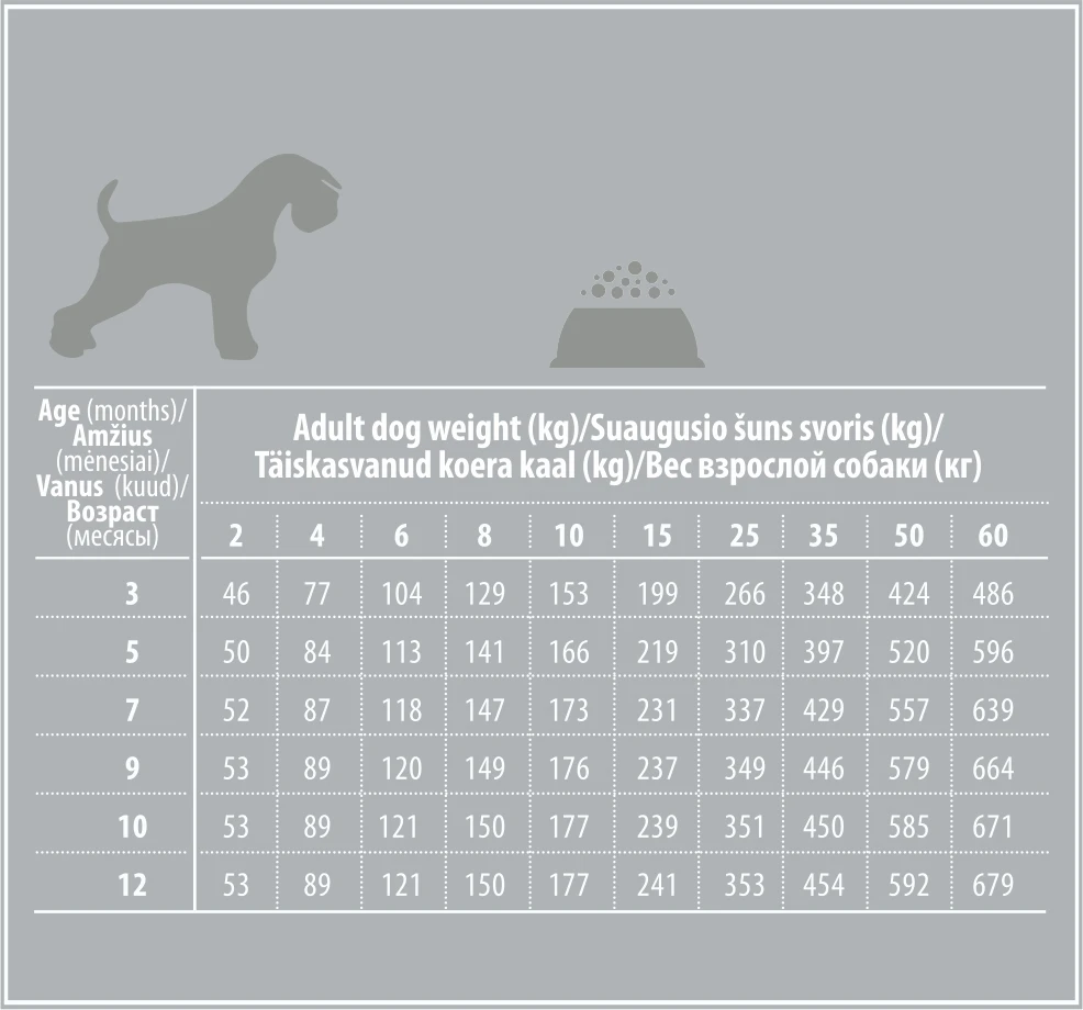 NATURE'S PROTECTION SUPERIOR CARE Baltas Dogs begrūdis su lašiša Junior All Breeds, visų veislių jaunų baltakailių šunų begrūdis sausas pašaras su lašiša, 1,5kg aprašymas - Prekės nuotrauka