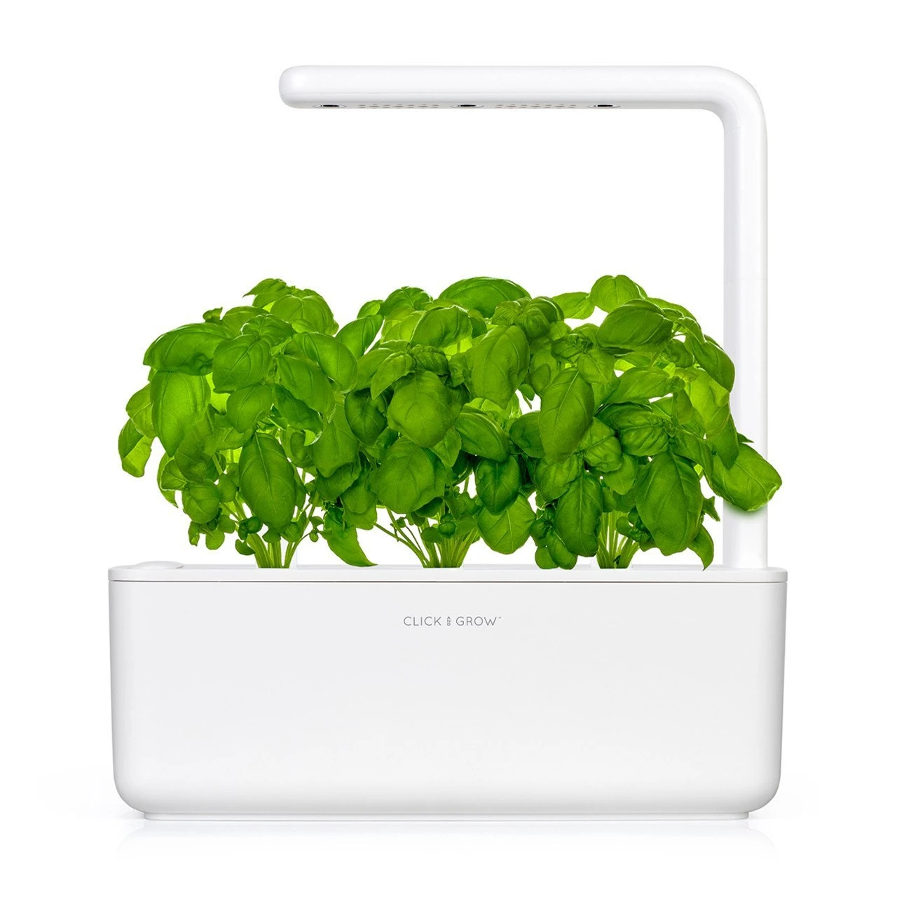 Išmanus namų sodas Click & Grow Smart Indoor Garden 3, baltas aprašymas - Prekės nuotrauka