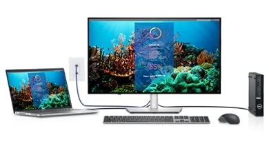 Monitorius  DELL U2722DE/27