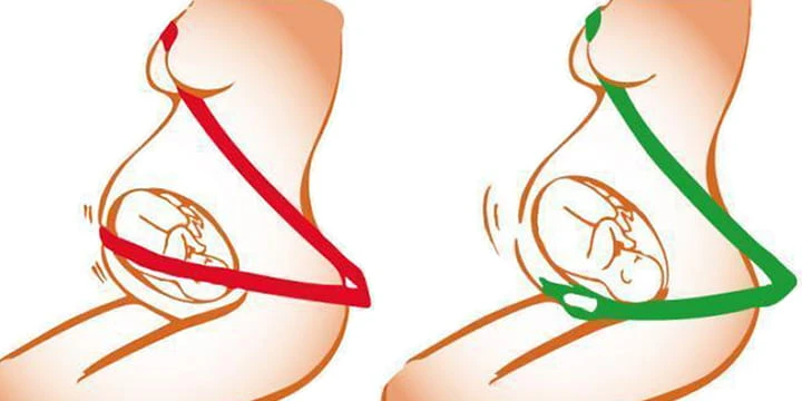 BeSafe - diržo adapteris nėščiosioms aprašymas - Prekės nuotrauka BeSafe - diržo adapteris nėščiosioms aprašymas - Prekės nuotrauka