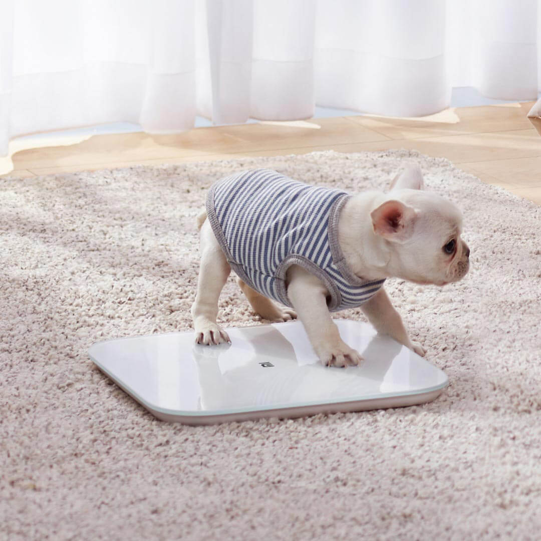 Svarstyklės Xiaomi Mi Smart Scale 2 Maximum weight (capacity) 150 kg, Multiple users