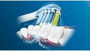 Philips Sonicare C3 Premium Plaque Defence Standartinės „Sonic“ dantų šepetėlio galvutės HX9042/17 aprašymas - Prekės nuotrauka