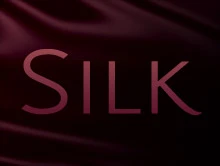 REMINGTON AC9096 Plaukų džiovintuvas REMINGTON - AC9096 Silk aprašymas - Prekės nuotrauka