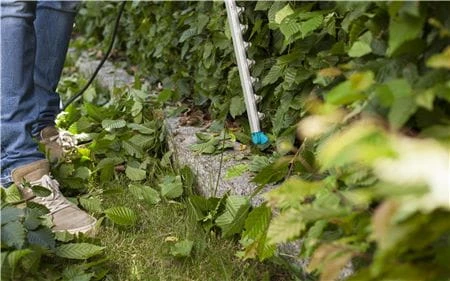 GARDENA Elektrinės gyvatvorių žirklės PowerCut 700/65 700W aprašymas - Prekės nuotrauka