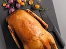 Garinė orkaitė Miele DGC 7450 GRGR aprašymas - Prekės nuotrauka