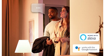 Philips Hue Dviejų E27 lempučių komplektas (Baltos šviesos) aprašymas - Prekės nuotrauka