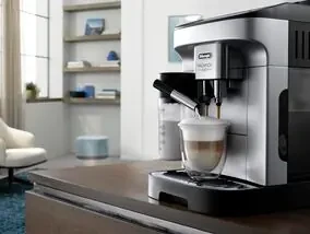 Kavos aparatas De’Longhi ECAM290.61.SB Magnifica Evo automatinis, Sidabro / juodos spalvos aprašymas - Prekės nuotrauka