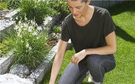 Gardena Akumuliatorinių žolės ir krumų žirklių rinkinys ClassicCut Li 9854-20 aprašymas - Prekės nuotrauka