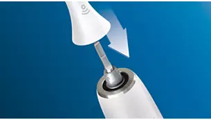 Philips Sonicare C3 Premium Plaque Defence Standartinės „Sonic“ dantų šepetėlio galvutės HX9042/17 aprašymas - Prekės nuotrauka