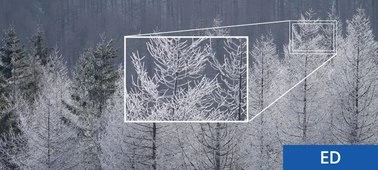 Sony SEL70200G fotoaparato objektyvas aprašymas - Prekės nuotrauka