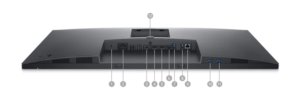 Monitorius Dell P3223DE 31,5