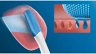Philips Sonicare TongueCare+ Liežuvio šepetėlio galvutė HX8072/01 aprašymas - Prekės nuotrauka