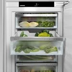 Laisvai pastatomas šaldytuvas su „BioFresh“ LIEBHERR RBe 5220 Plus BioFresh aprašymas - Prekės nuotrauka