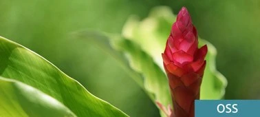 Sony SEL70200G fotoaparato objektyvas aprašymas - Prekės nuotrauka