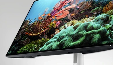 Monitorius Dell LCD U2422HE 23.8 