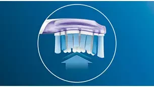 Philips Sonicare G3 Premium Gum Care Standartinės „Sonic“ dantų šepetėlio galvutės HX9054/33 aprašymas - Prekės nuotrauka