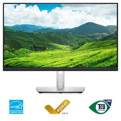 Monitorius Dell | LCD | P2422H | 24 