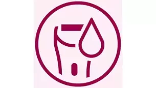 Philips SatinShave Essential „Wet & Dry“ elektrinis skustuvas HP6341/00 aprašymas - Prekės nuotrauka