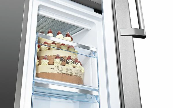 Šaldytuvas Bosch KGE36AICA, Sidabrinės spalvos aprašymas - Prekės nuotrauka